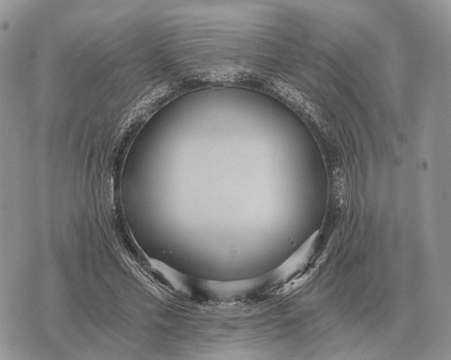 X0000072980589200608111743