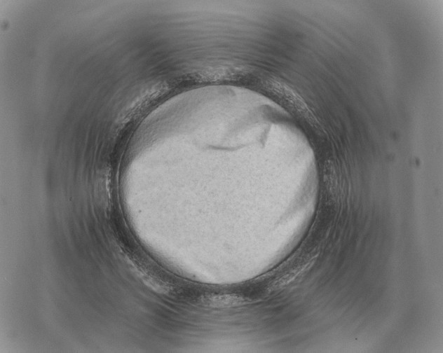 X0000072980590200608111743