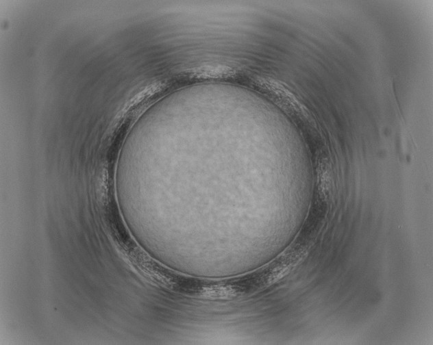 X0000072980591200608111743