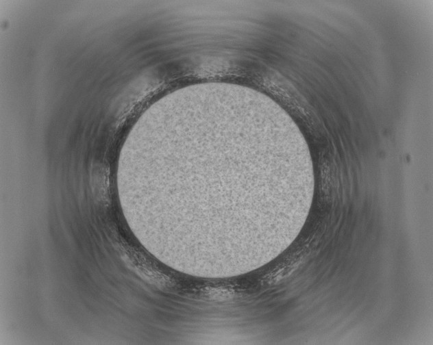 X0000072980592200608111743