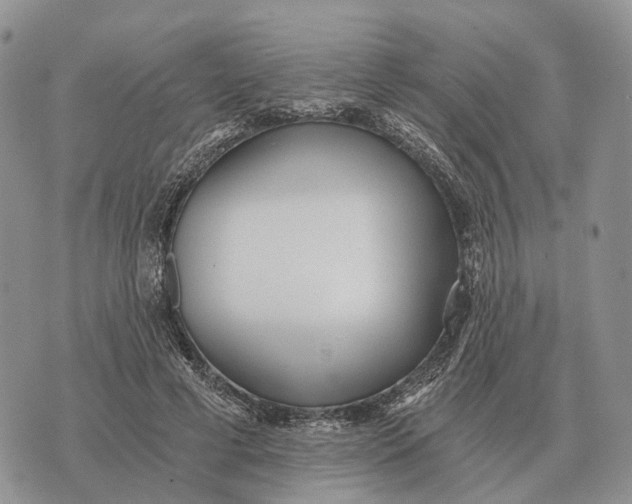 X0000072980593200608111743