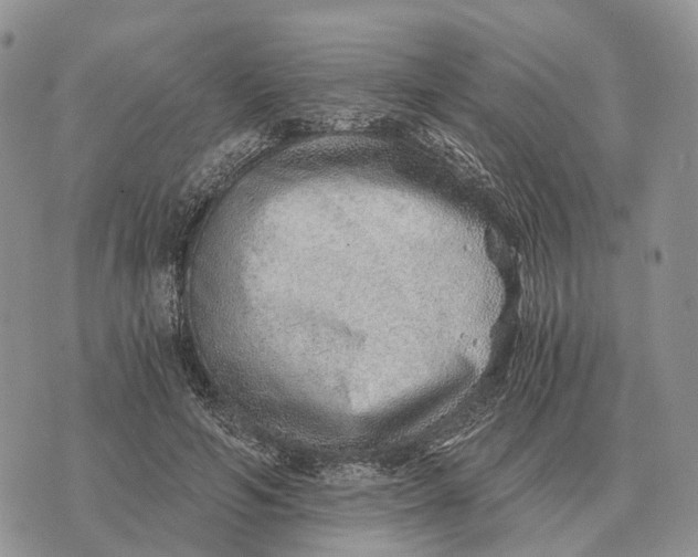 X0000072980594200608111743