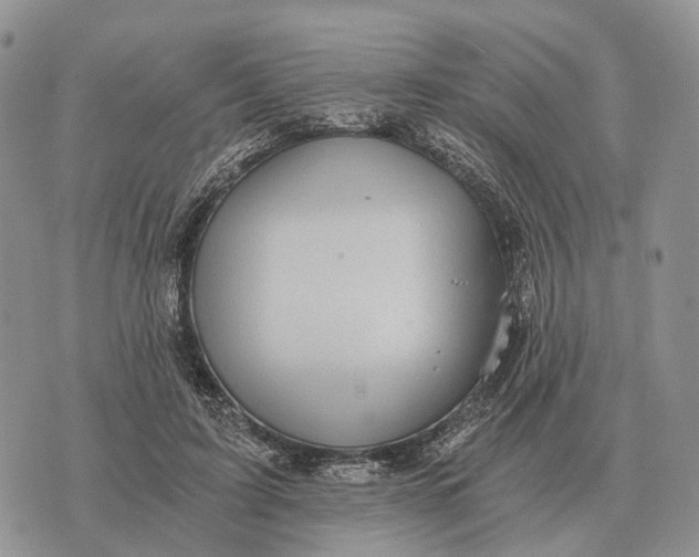 X0000072980595200608111743