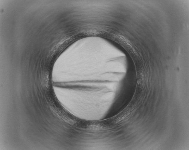 X0000072980596200608111743