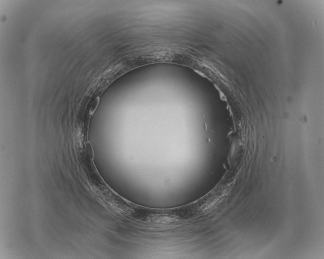 X0000072980597200608111743