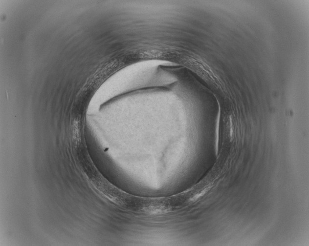 X0000072980598200608111743