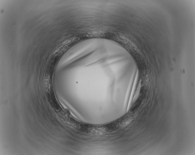 X0000072980599200608111743