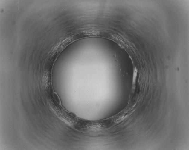 X0000072980600200608111743