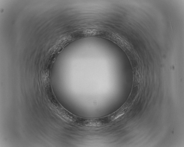 X0000072980601200608111743