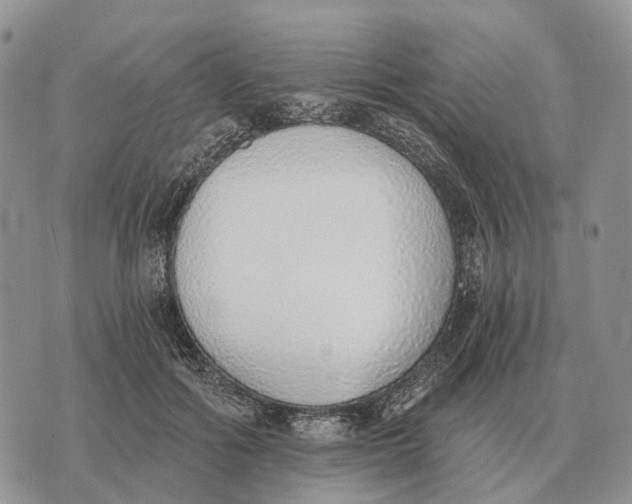 X0000072980602200608111743