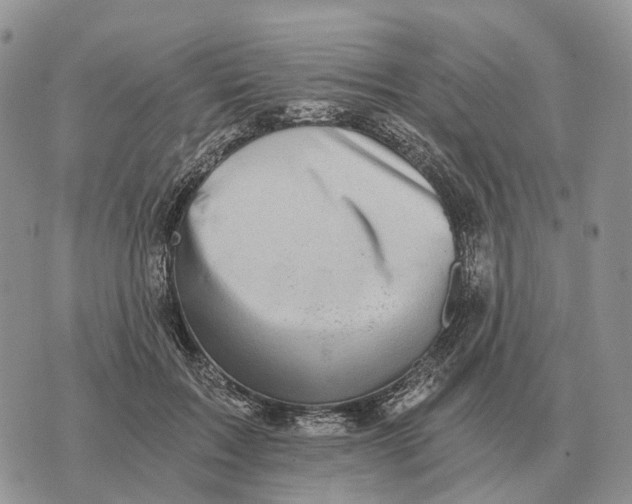 X0000072980603200608111743