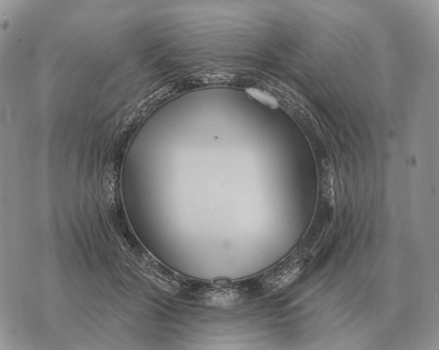 X0000072980604200608111743