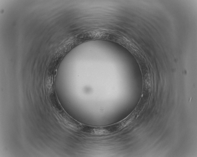 X0000072980605200608111743