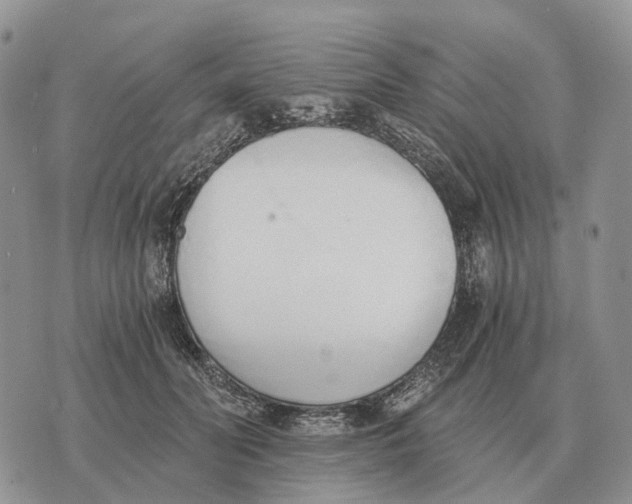 X0000072980606200608111743