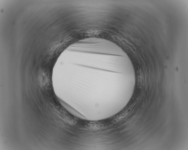 X0000072980608200608111743