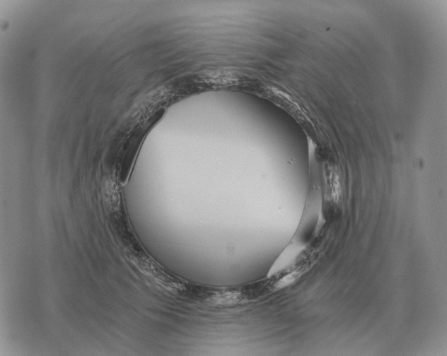 X0000072980609200608111743