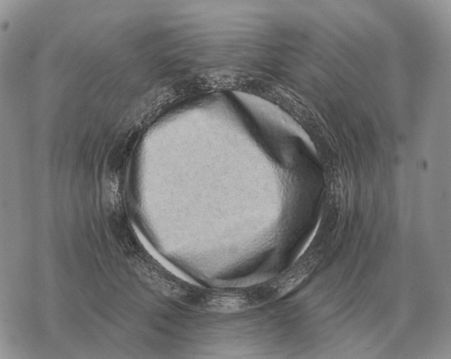 X0000072980610200608111743