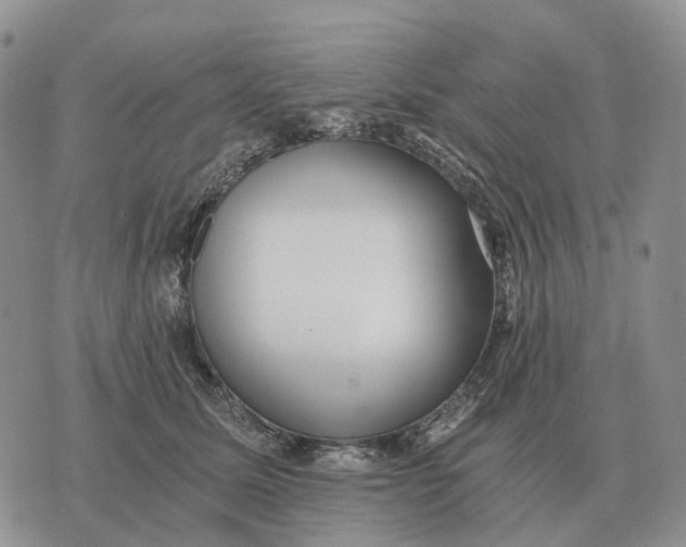 X0000072980611200608111743