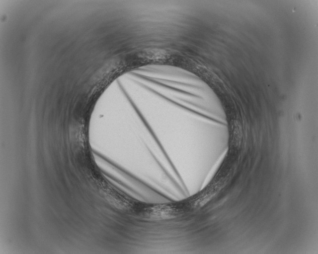 X0000072980612200608111743