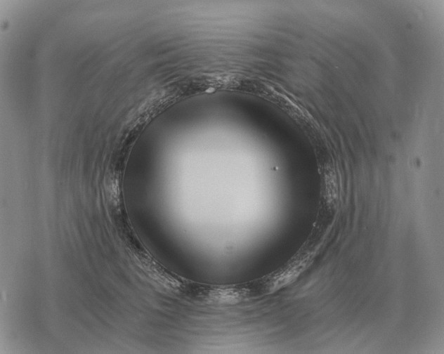 X0000072980613200608111743