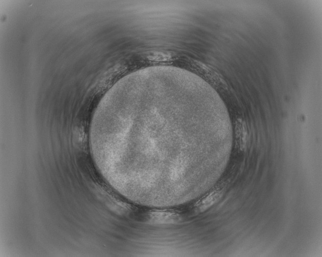 X0000072980614200608111743