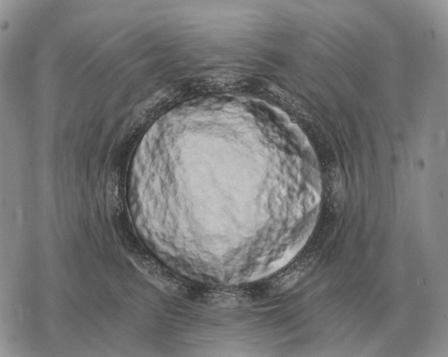 X0000072980615200608111743