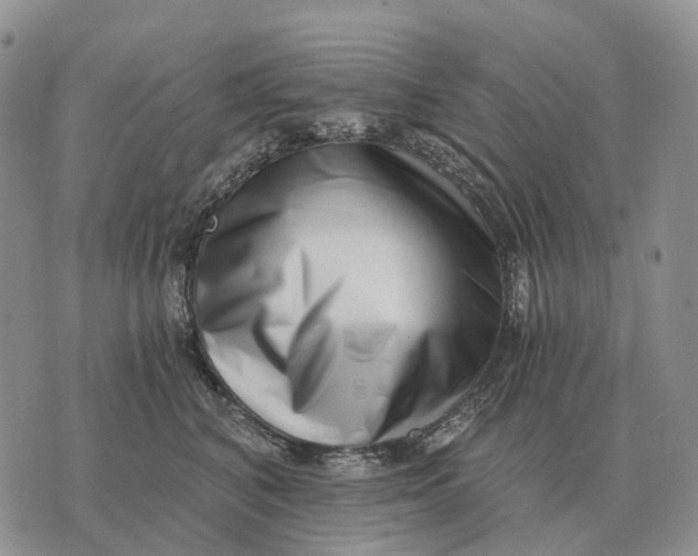 X0000072980616200608111743