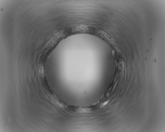 X0000072980617200608111743