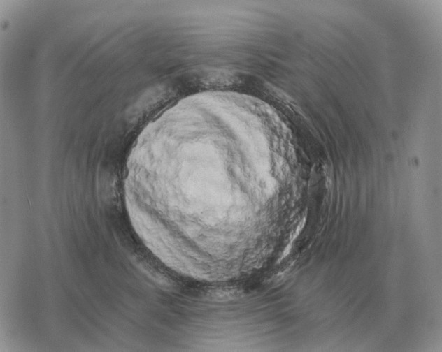 X0000072980619200608111743