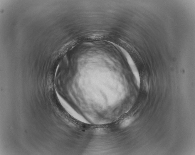 X0000072980620200608111743