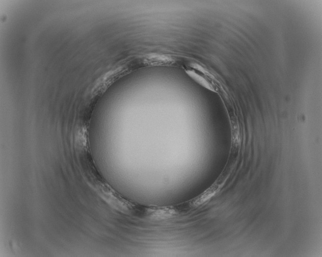 X0000072980621200608111743