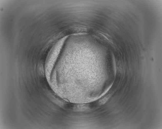 X0000072980622200608111743