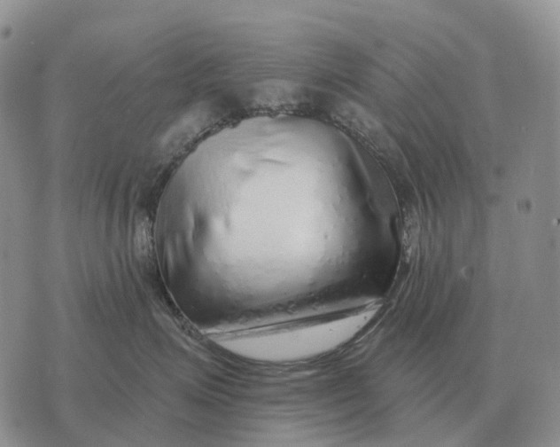 X0000072980623200608111743