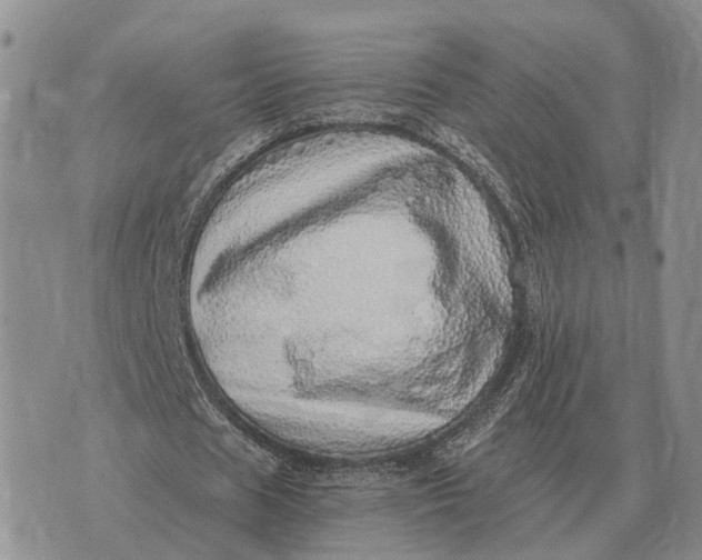 X0000072980625200608111742