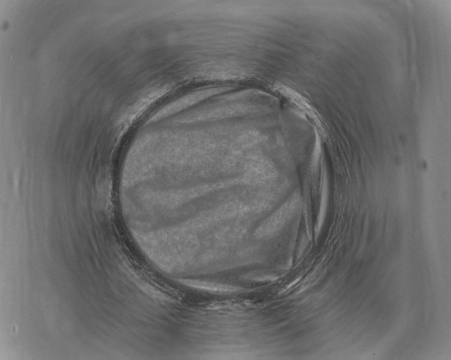 X0000072980627200608111742