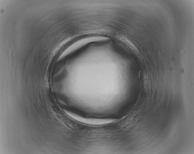 X0000072980628200608111742