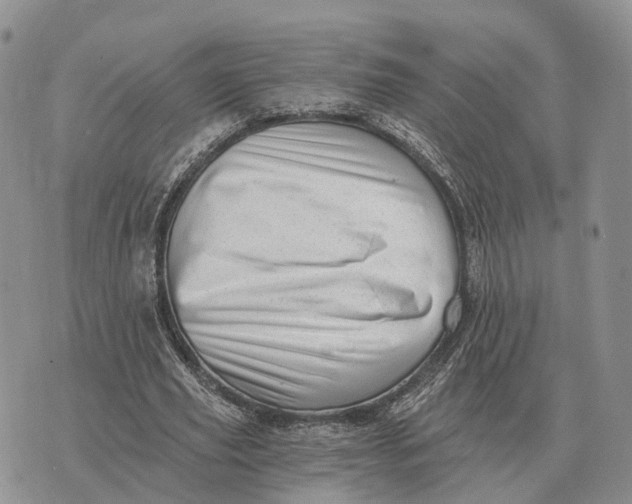 X0000072980629200608111742