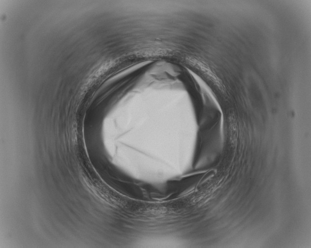 X0000072980631200608111742