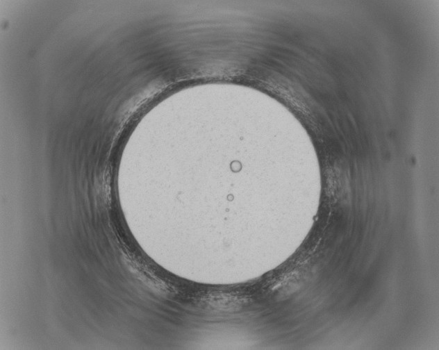 X0000072980632200608111742