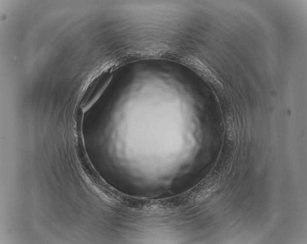 X0000072980634200608111742