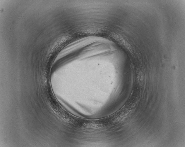 X0000072980635200608111742