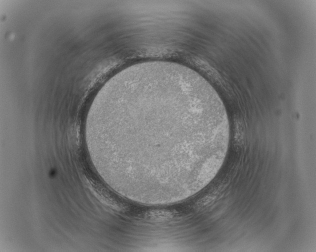 X0000072980636200608111742