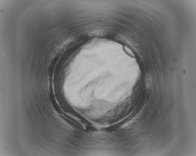 X0000072980637200608111742