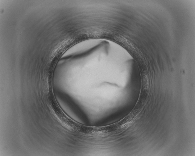 X0000072980638200608111742