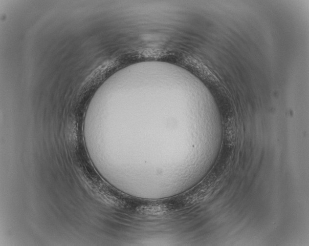 X0000072980639200608111742