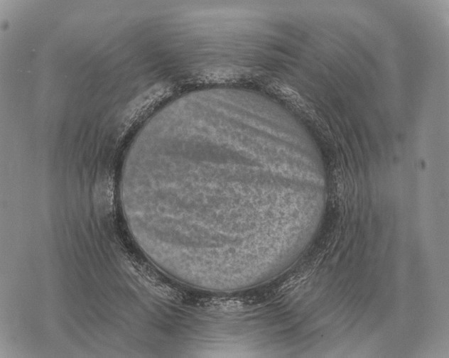 X0000072980640200608111742