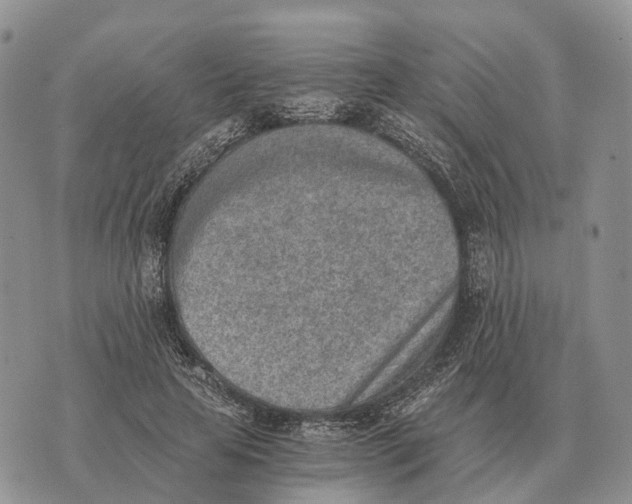 X0000072980641200608111742