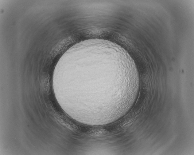 X0000072980642200608111742