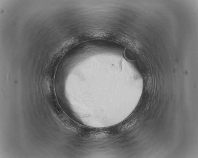 X0000072980643200608111742