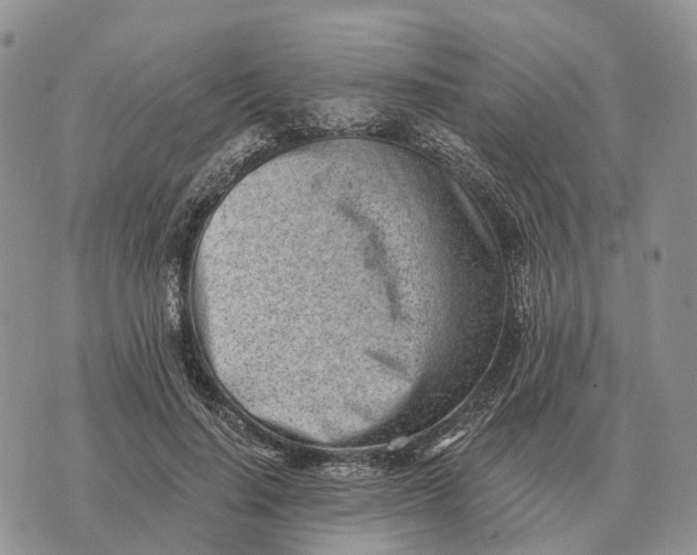 X0000072980644200608111742